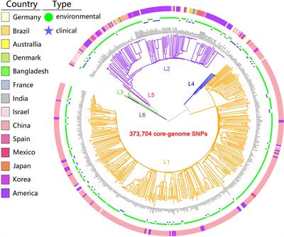 Identification of potential pathogenic targets and survival strategies of Vibrio vulnificus through population genomics